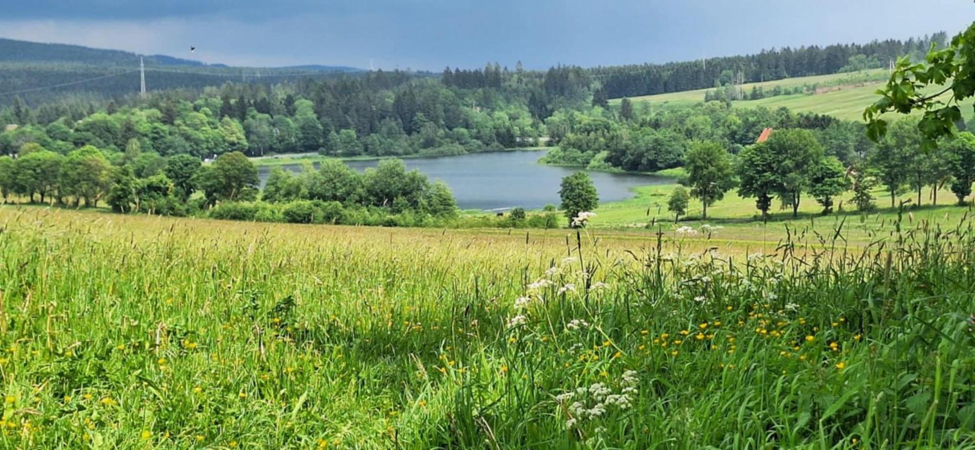 Mai-Ferienhaus-Harz 210Qm Клаустал-Целерфелд Екстериор снимка