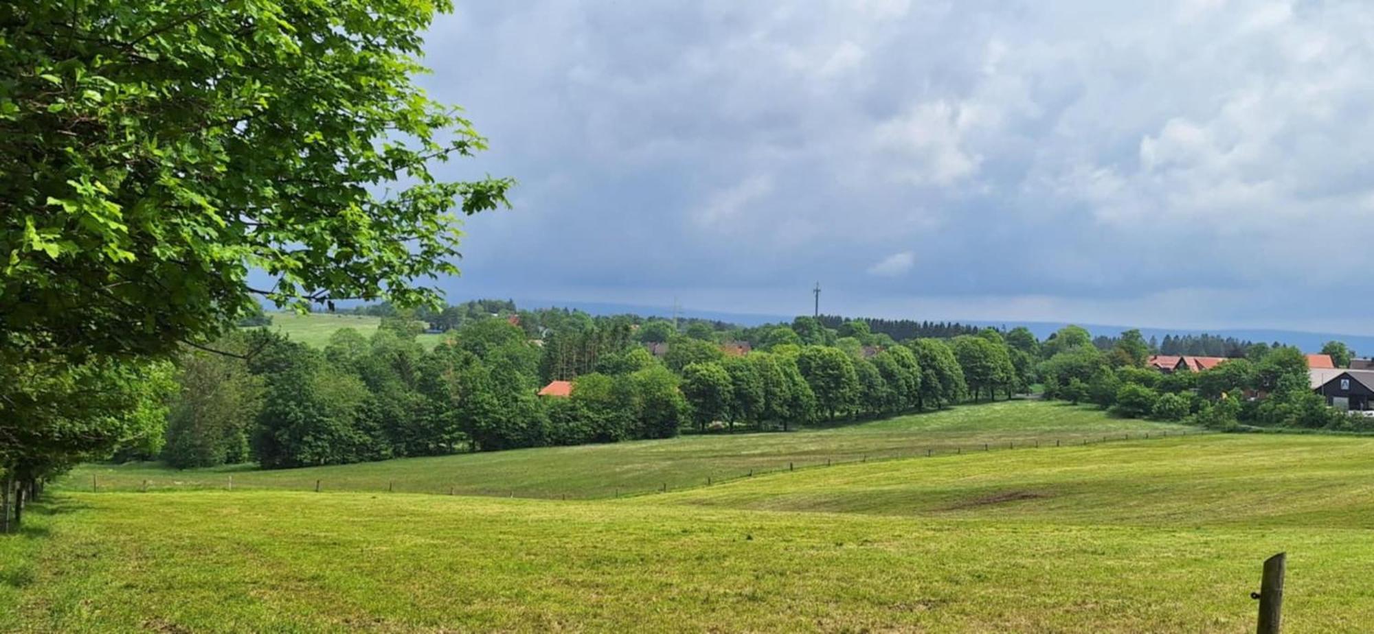 Mai-Ferienhaus-Harz 210Qm Клаустал-Целерфелд Екстериор снимка